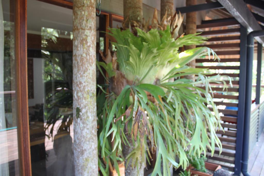 Pk Illusions Apartment Maleny Exterior foto